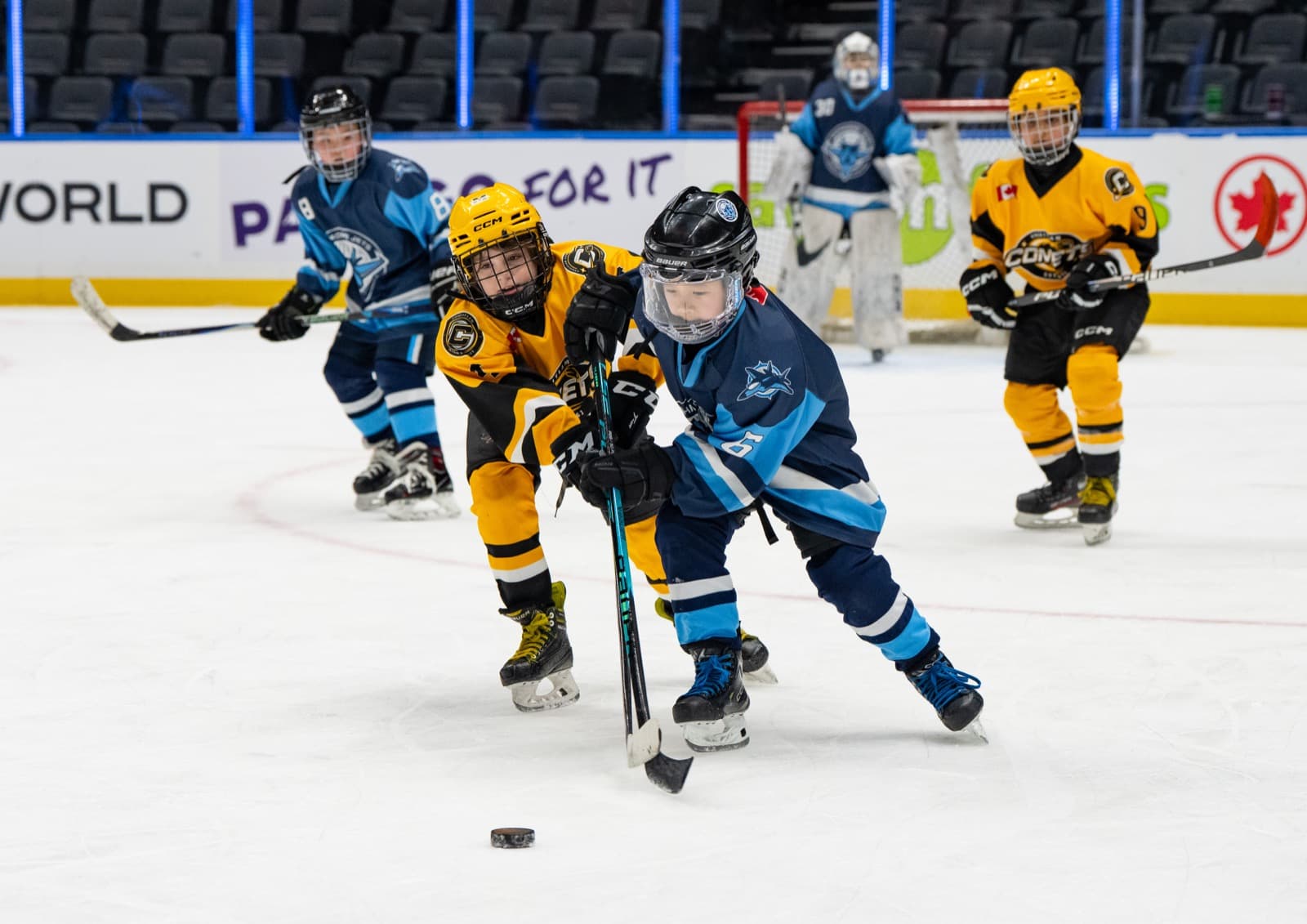 Multiple Comets and Jets players battle for a loose puck during game action