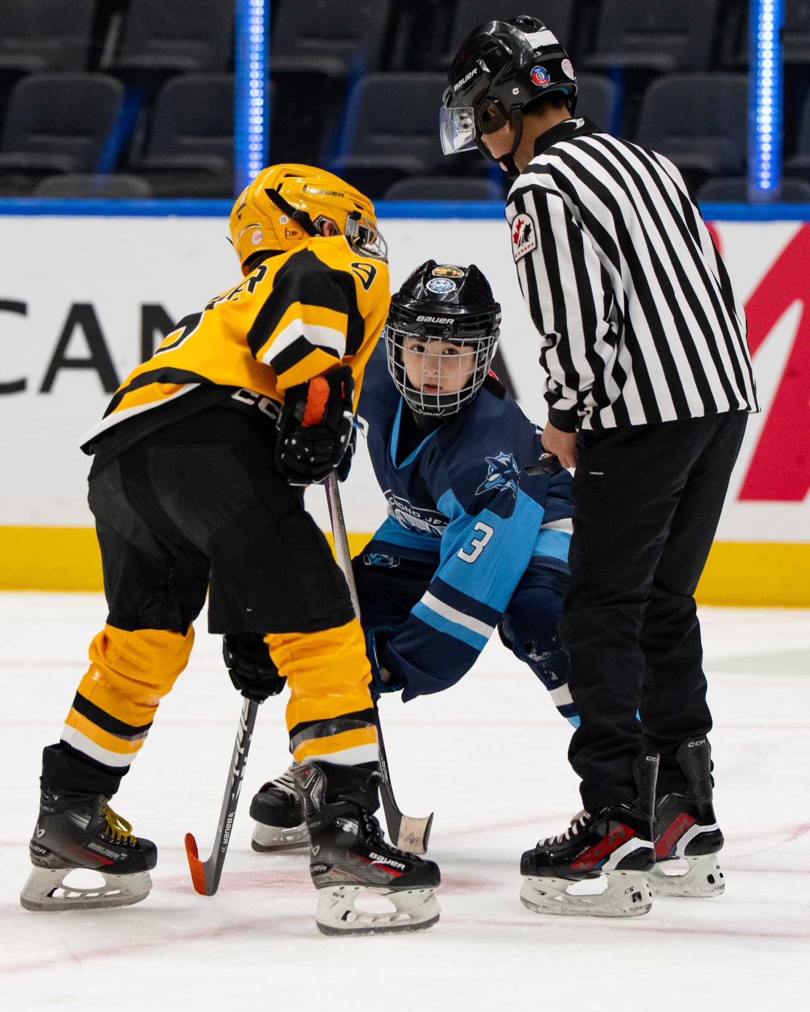 A Comets player and Richmond Jets player line up for a faceoff with the referee at Rogers Arena